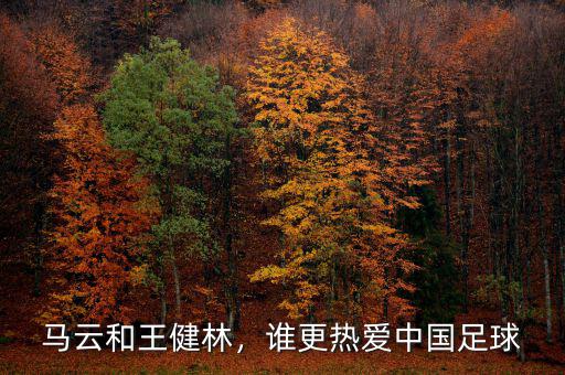 馬云和王健林，誰更熱愛中國足球
