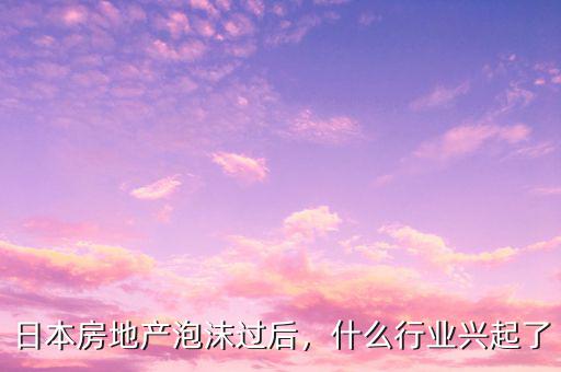 日本房地產(chǎn)泡沫過后，什么行業(yè)興起了