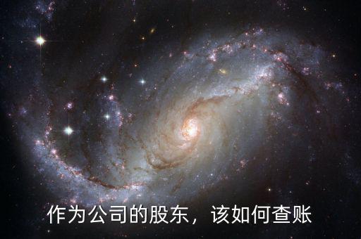 作為公司的股東，該如何查賬