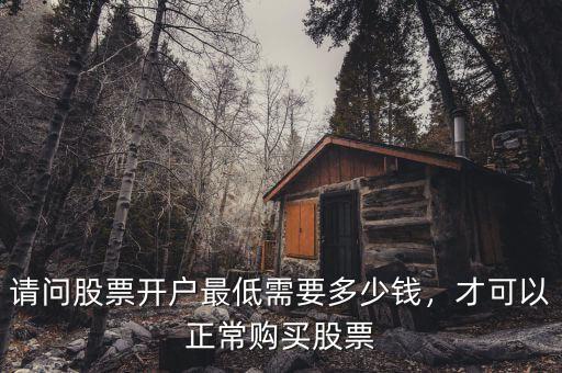 請問股票開戶最低需要多少錢，才可以正常購買股票