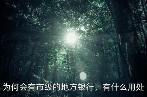 為何會有市級的地方銀行，有什么用處