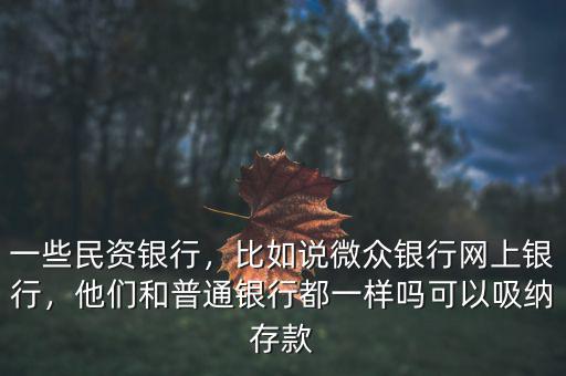 一些民資銀行，比如說微眾銀行網上銀行，他們和普通銀行都一樣嗎可以吸納存款