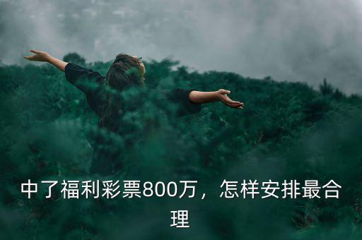 中了福利彩票800萬，怎樣安排最合理