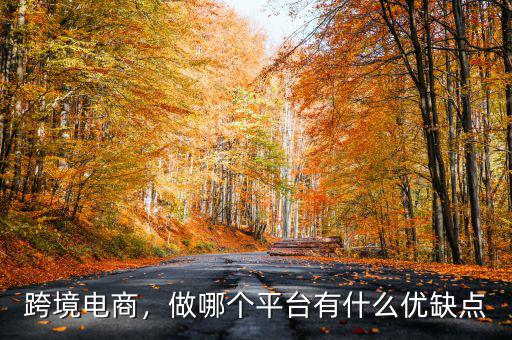 跨境電商，做哪個平臺有什么優(yōu)缺點(diǎn)