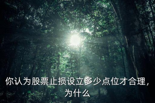 你認(rèn)為股票止損設(shè)立多少點(diǎn)位才合理，為什么