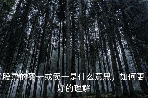 股票的買一或賣一是什么意思，如何更好的理解