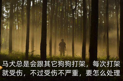 馬犬總是會(huì)跟其它狗狗打架，每次打架就受傷，不過受傷不嚴(yán)重，要怎么處理