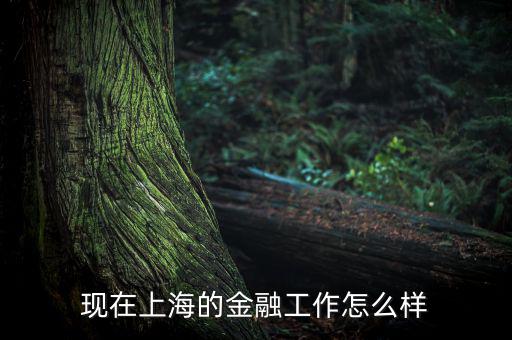 上?；バ沤鹑谠趺礃?上海立信會計金融學院怎么樣