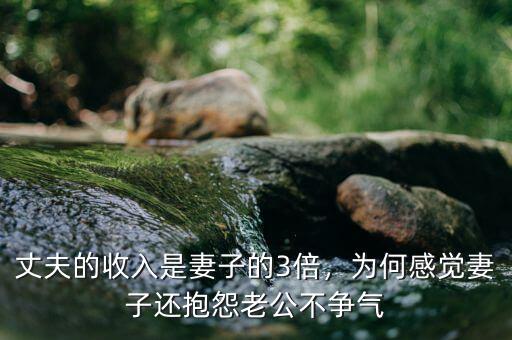 丈夫的收入是妻子的3倍，為何感覺妻子還抱怨老公不爭氣