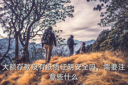 大額存款沒有紙質(zhì)證明安全嗎，需要注意些什么