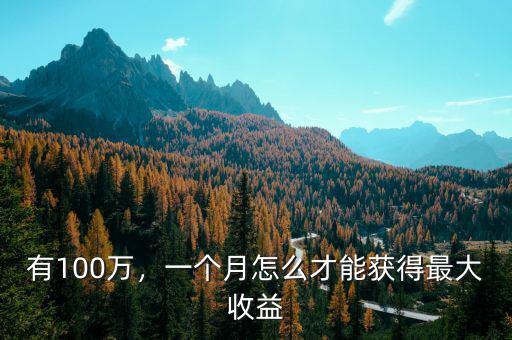 有100萬(wàn)，一個(gè)月怎么才能獲得最大收益