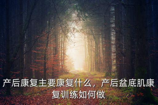 產(chǎn)后康復(fù)主要康復(fù)什么，產(chǎn)后盆底肌康復(fù)訓(xùn)練如何做