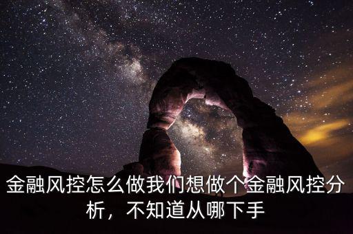 金融風(fēng)控怎么做我們想做個(gè)金融風(fēng)控分析，不知道從哪下手
