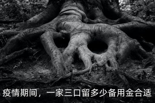 疫情期間，一家三口留多少備用金合適