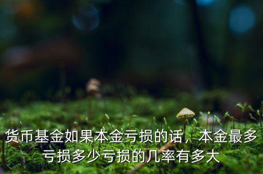 貨幣基金如果本金虧損的話，本金最多虧損多少虧損的幾率有多大