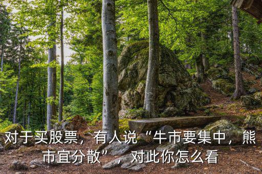 對于買股票，有人說“牛市要集中，熊市宜分散”，對此你怎么看