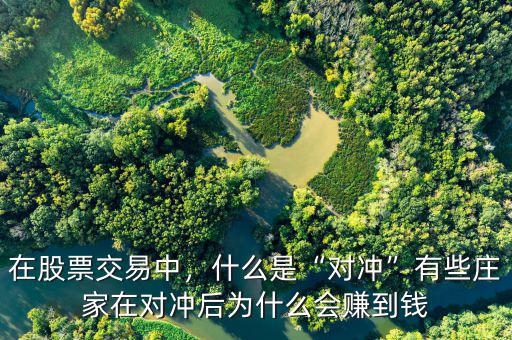 在股票交易中，什么是“對(duì)沖”有些莊家在對(duì)沖后為什么會(huì)賺到錢
