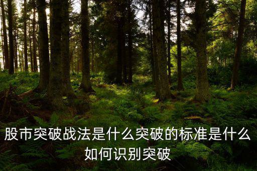 什么叫股票突破,股市突破戰(zhàn)法是什么