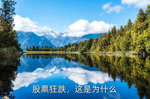 股票狂跌，這是為什么