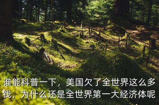 誰能科普一下，美國欠了全世界這么多錢，為什么還是全世界第一大經(jīng)濟體呢