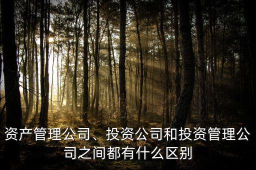 資產(chǎn)管理公司、投資公司和投資管理公司之間都有什么區(qū)別
