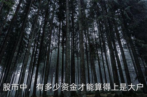 股市中，有多少資金才能算得上是大戶