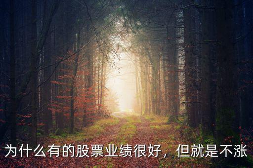 為什么有的股票業(yè)績(jī)很好，但就是不漲