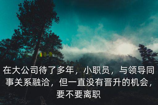 在大公司待了多年，小職員，與領(lǐng)導(dǎo)同事關(guān)系融洽，但一直沒有晉升的機(jī)會，要不要離職