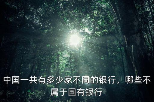 中國(guó)一共有多少家不同的銀行，哪些不屬于國(guó)有銀行