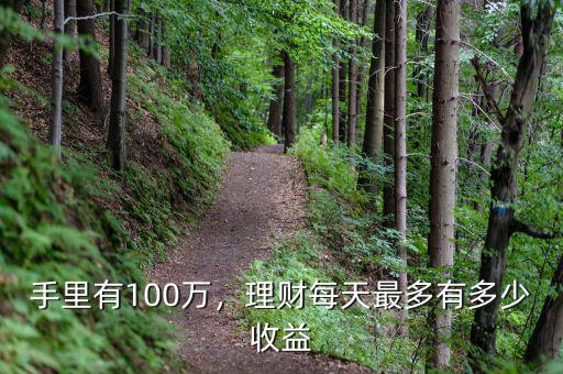 手里有100萬，理財(cái)每天最多有多少收益