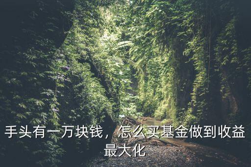 手頭有一萬塊錢，怎么買基金做到收益最大化