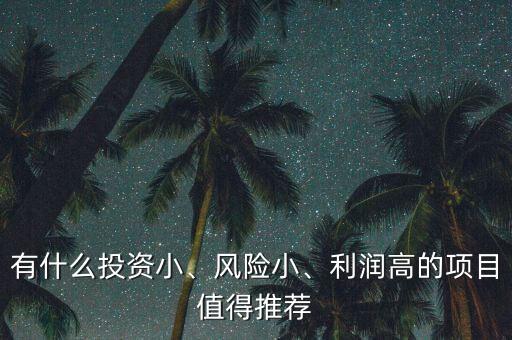 錢(qián)怎么投資風(fēng)險(xiǎn)小利潤(rùn)高,有什么投資小