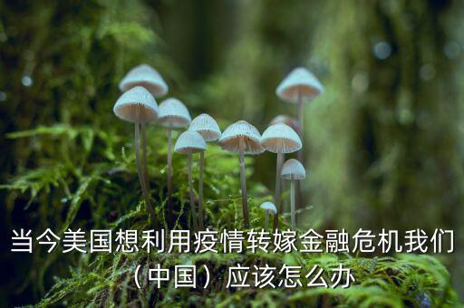 當(dāng)今美國想利用疫情轉(zhuǎn)嫁金融危機我們（中國）應(yīng)該怎么辦