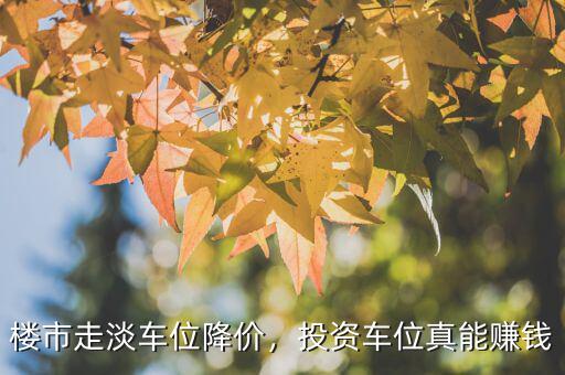 樓市走淡車位降價(jià)，投資車位真能賺錢