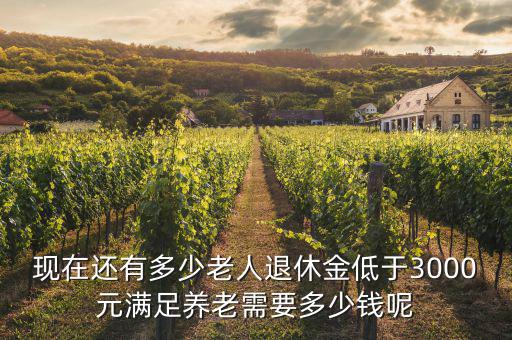 現(xiàn)在還有多少老人退休金低于3000元滿足養(yǎng)老需要多少錢(qián)呢