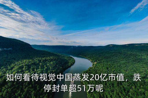 如何看待視覺中國蒸發(fā)20億市值，跌停封單超51萬呢