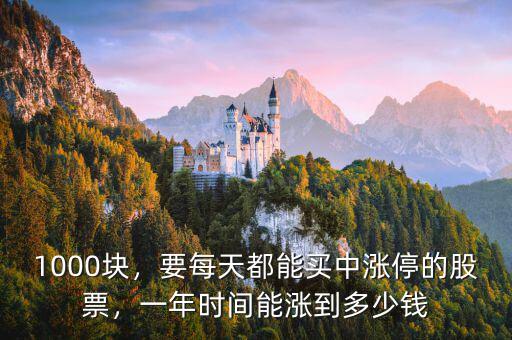 1000塊，要每天都能買中漲停的股票，一年時間能漲到多少錢