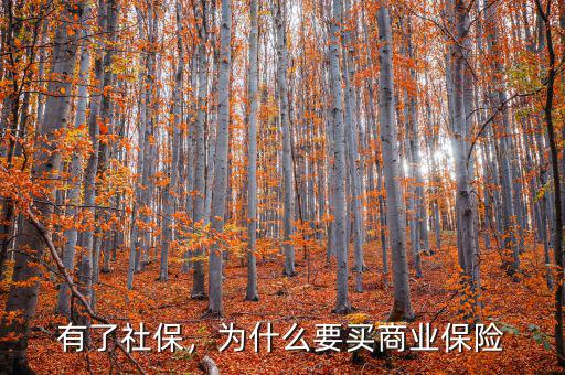 有了社保，為什么要買商業(yè)保險(xiǎn)
