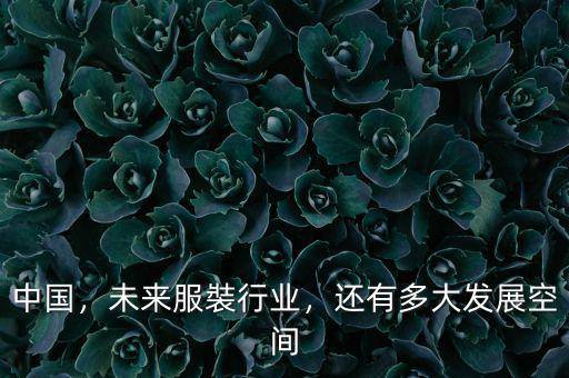 中國，未來服裝行業(yè)，還有多大發(fā)展空間
