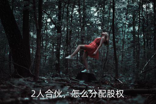 2人合伙，怎么分配股權(quán)