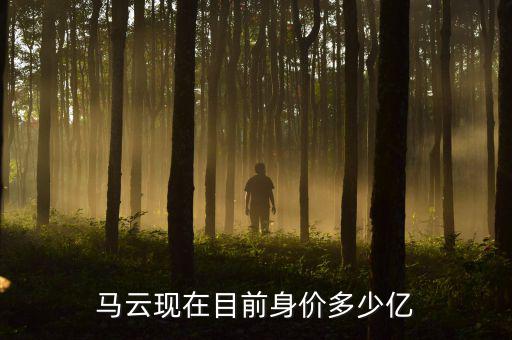 馬云現(xiàn)在目前身價多少億
