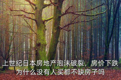 上世紀(jì)日本房地產(chǎn)泡沫破裂，房?jī)r(jià)下跌為什么沒(méi)有人買(mǎi)都不缺房子嗎