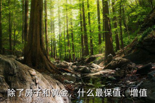 除了房子和黃金，什么最保值、增值