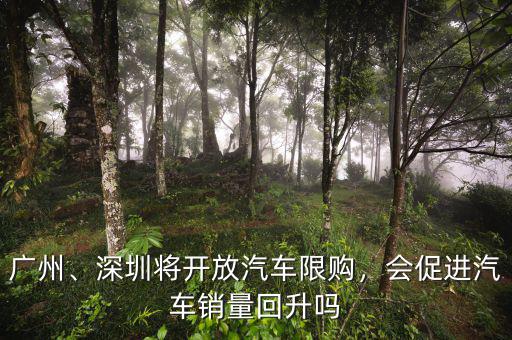 廣州、深圳將開放汽車限購(gòu)，會(huì)促進(jìn)汽車銷量回升嗎