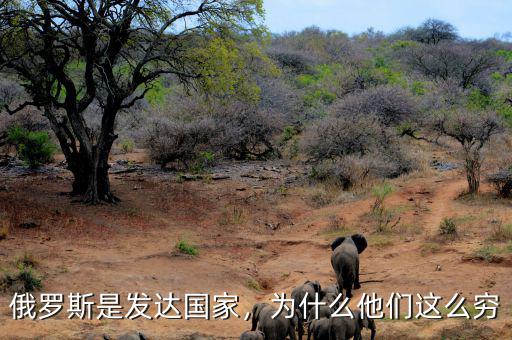 俄羅斯是發(fā)達(dá)國家，為什么他們這么窮