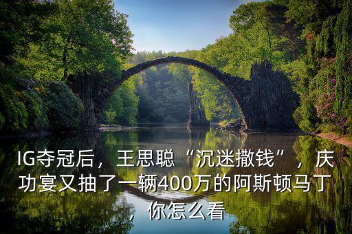 IG奪冠后，王思聰“沉迷撒錢”，慶功宴又抽了一輛400萬的阿斯頓馬丁，你怎么看