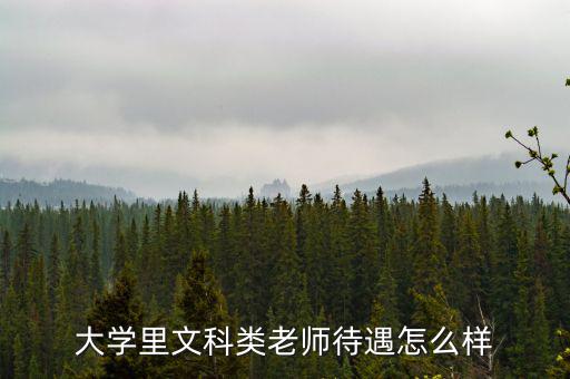 大學里文科類老師待遇怎么樣