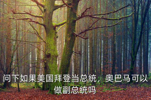 問下如果美國拜登當總統(tǒng)，奧巴馬可以做副總統(tǒng)嗎