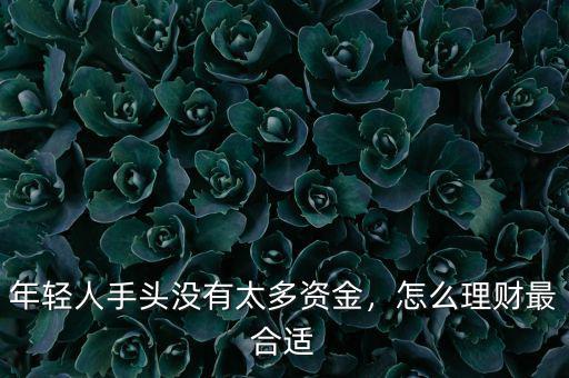 年輕人怎么理財(cái),現(xiàn)在的年輕人都怎么理財(cái)啊