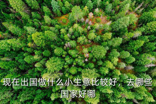 現(xiàn)在出國做什么小生意比較好，去哪些國家好哪